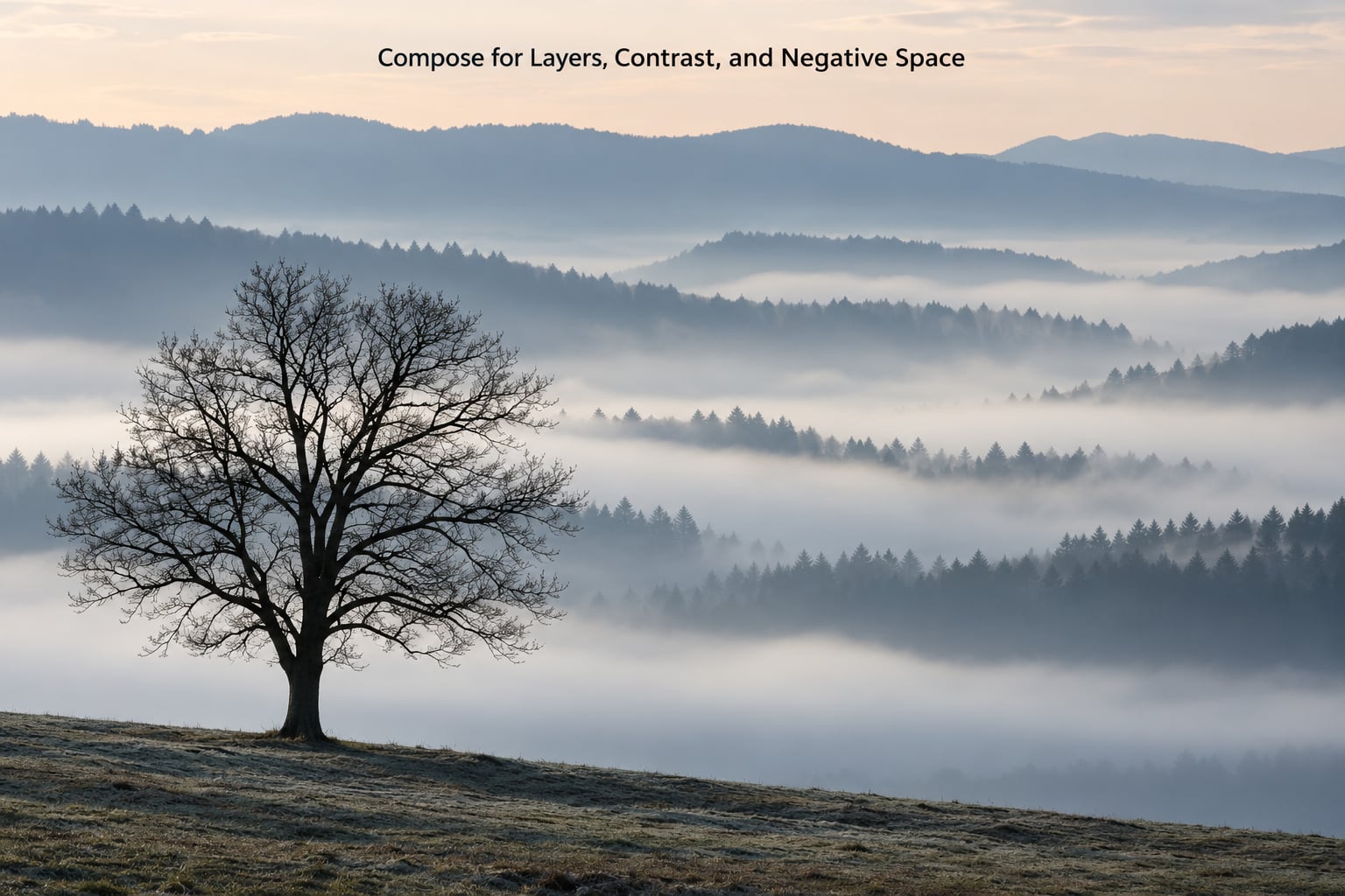 Compose for Layers, Contrast, and Negative Space