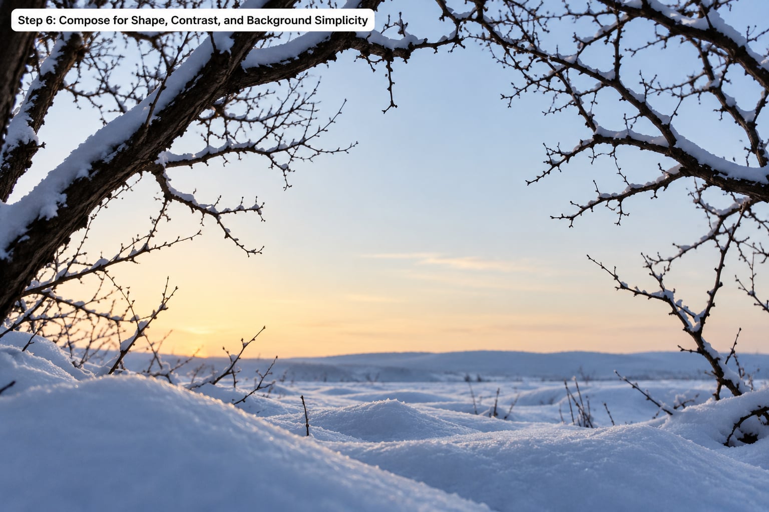 Step 6: Compose for Shape, Contrast, and Background Simplicity