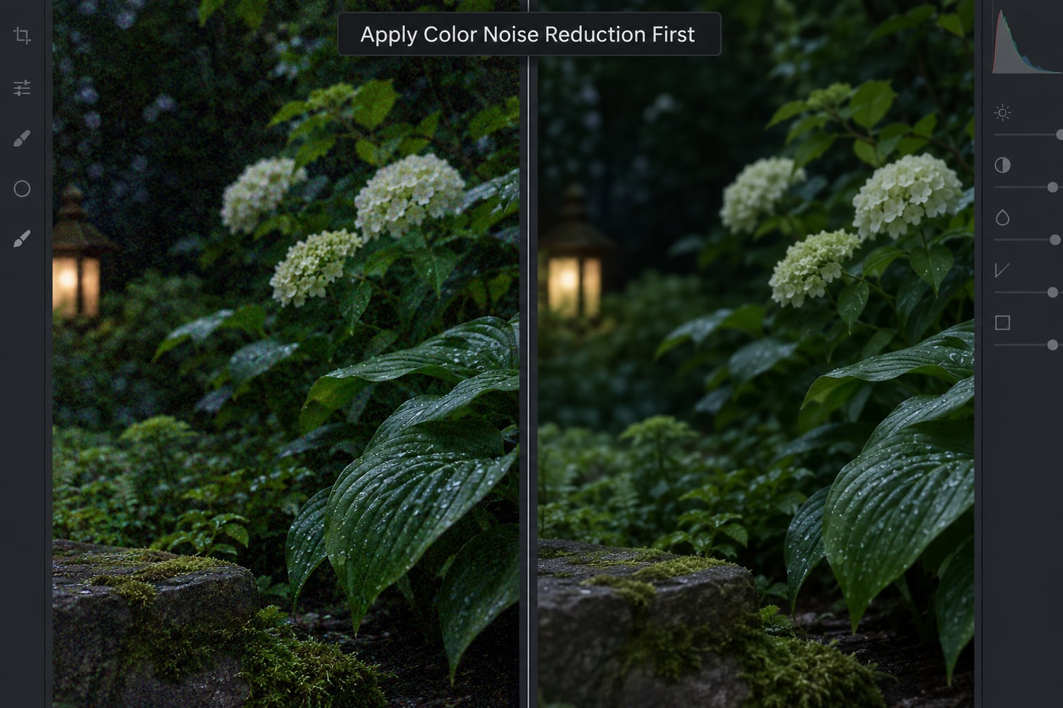 Apply Color Noise Reduction First