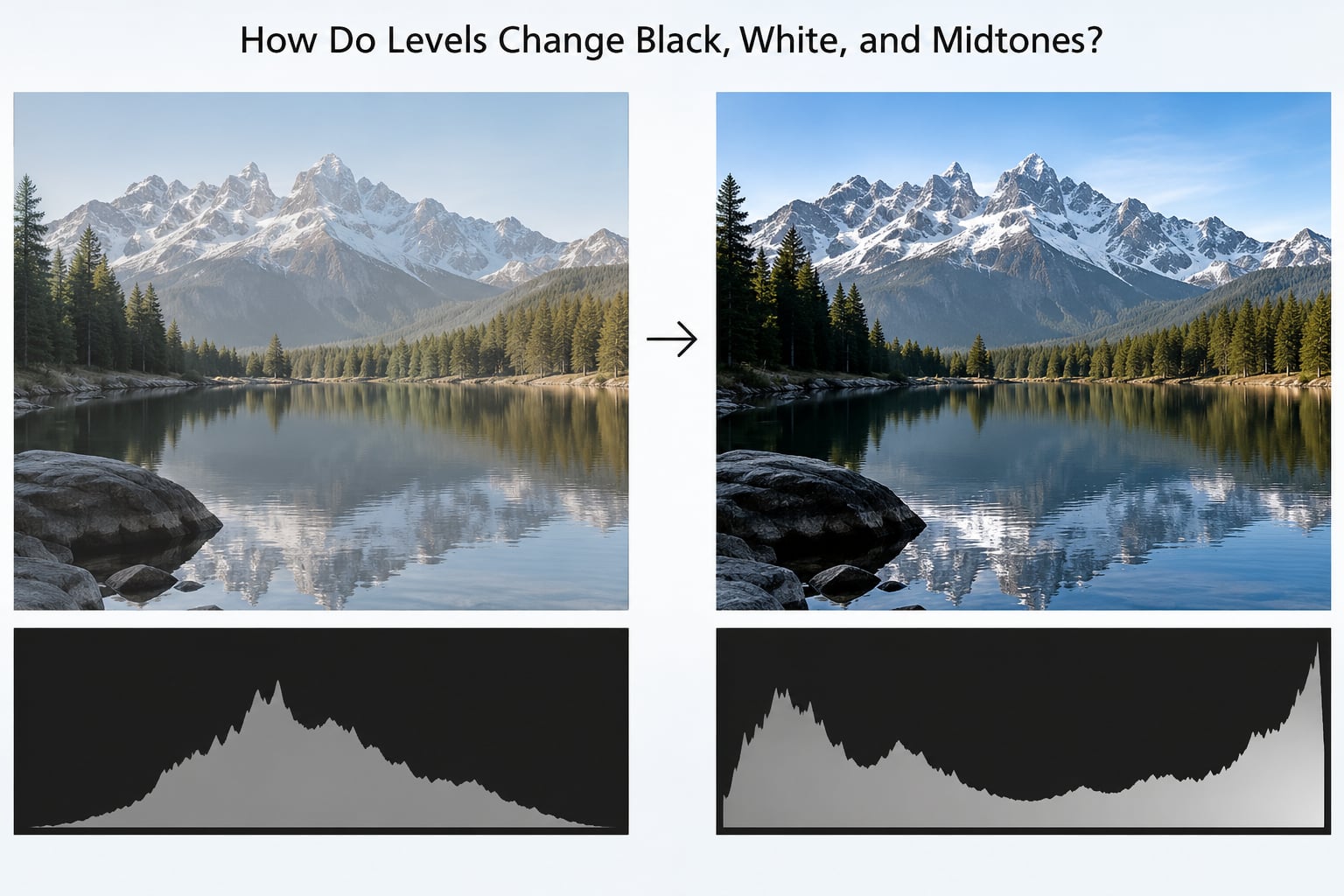 How Do Levels Change Black, White, and Midtones?